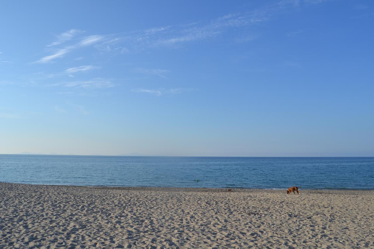 Miramare Struttura Sulla Spiaggia Platamona Exterior foto